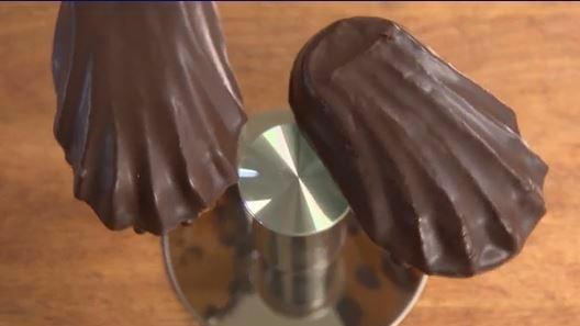 Nienburger Bärentatzen